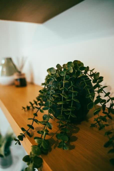 Evergreen Lodge-Wyndale-4Br Wparking Bham Nec Birmingham Ngoại thất bức ảnh